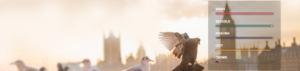 SENTISIGHT SDK