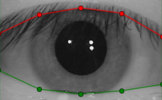 VERIEYE-IDENTIFICACAO-DE-IRIS — foto 3