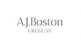 AJ Boston